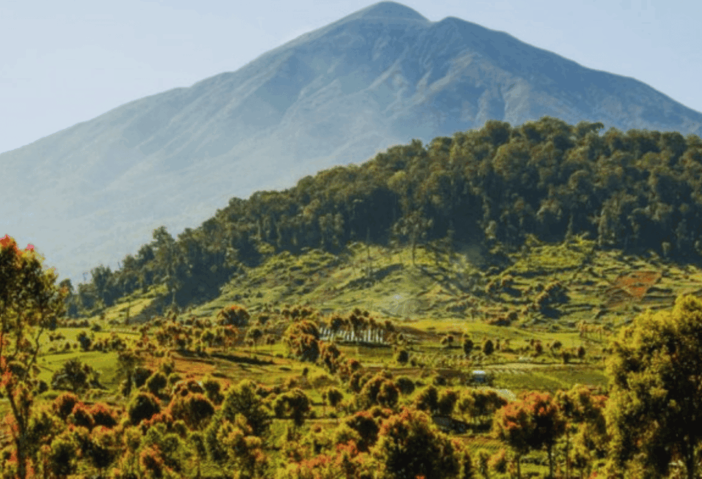 Fungsi Ekologis sebagai Pengatur Iklim dan Sumber Air