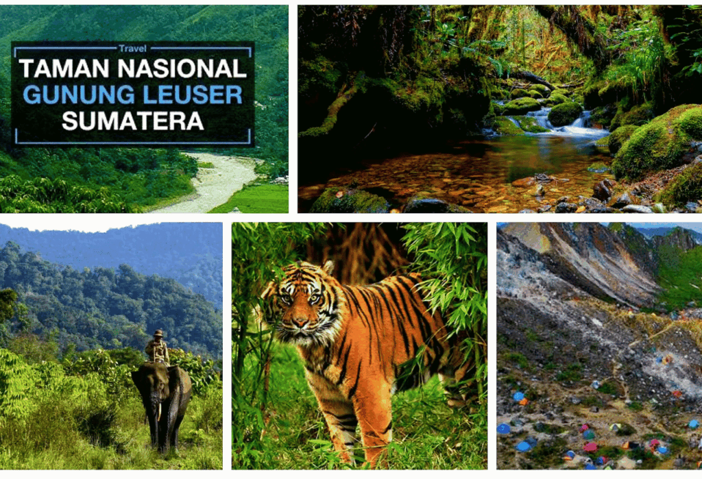 Keanekaragaman Hayati yang Perlu Dilindungi