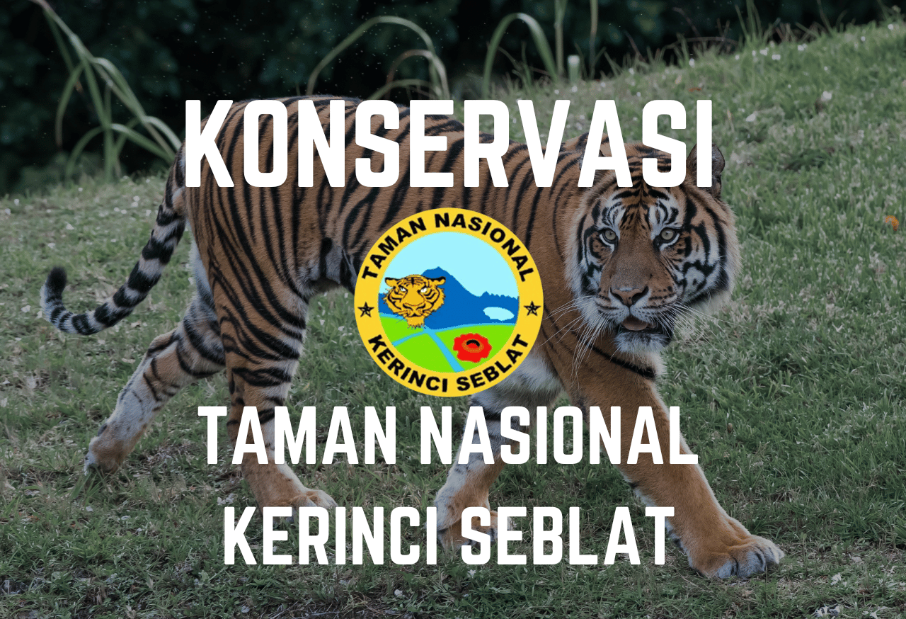 Konservasi Taman Nasional Kerinci