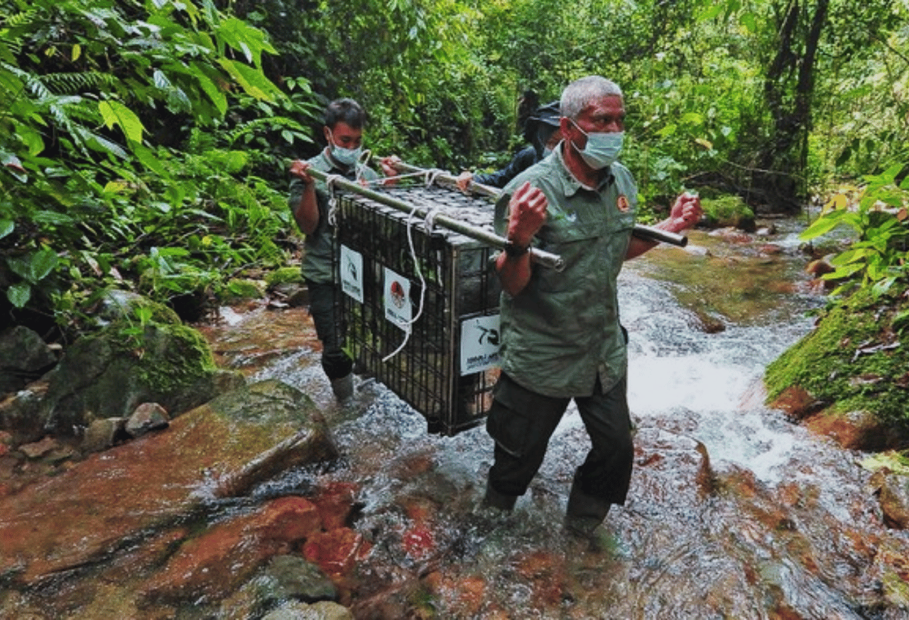 Pemanfaatan Sumber Daya Alam Secara Lestari