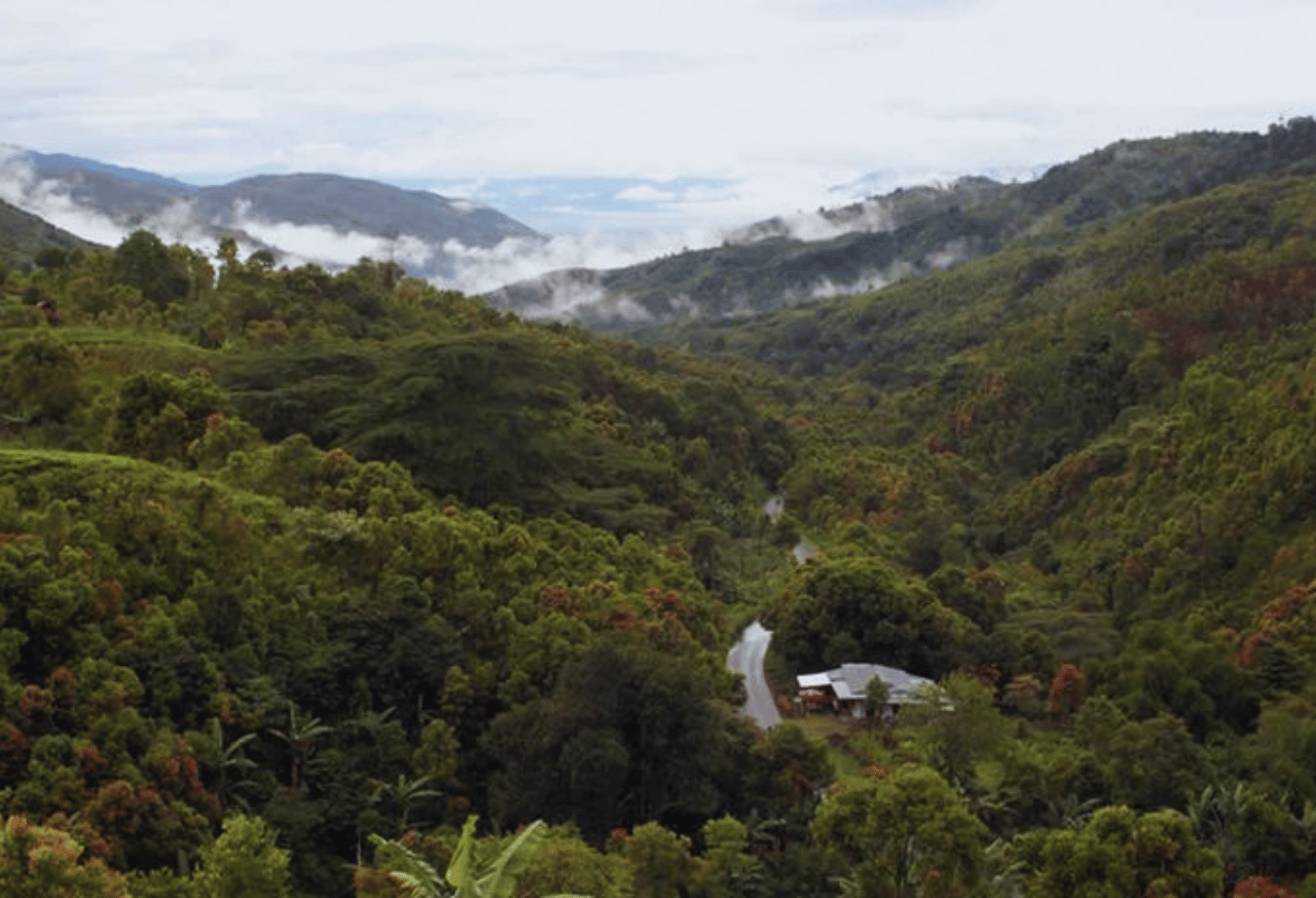Penelitian dan Pendidikan Lingkungan