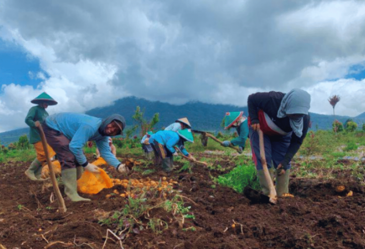 Pengelolaan Kolaboratif