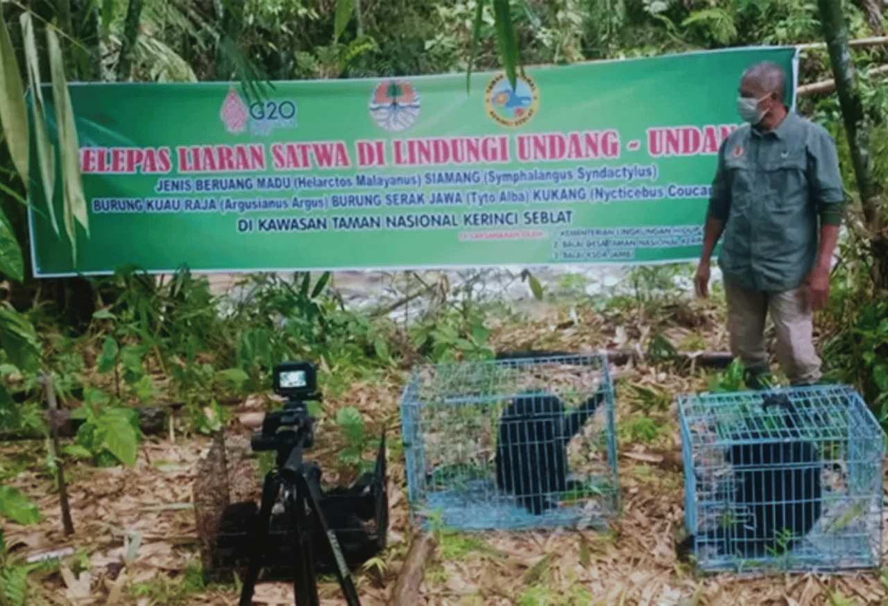 Pengembangan Ekowisata Berkelanjutan