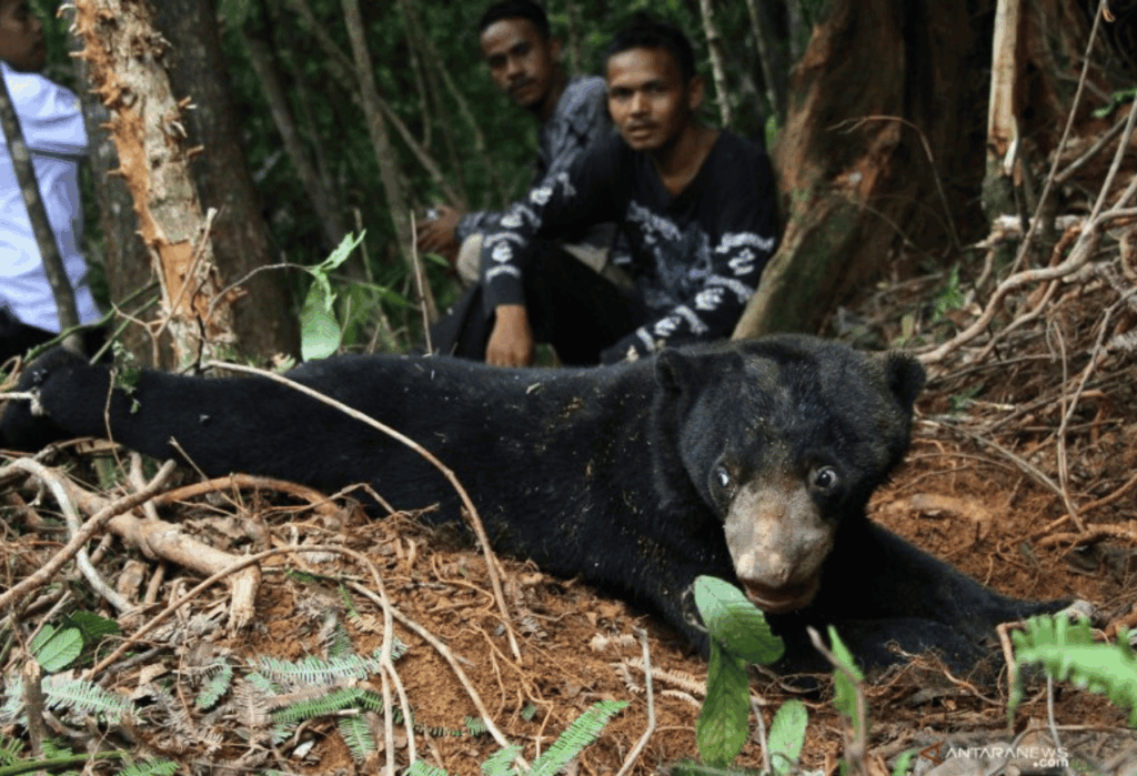 Peran Masyarakat dalam Konservasi