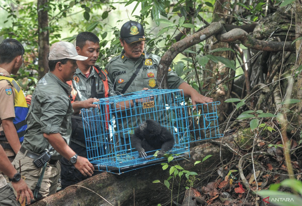 Perlindungan Keanekaragaman Hayati