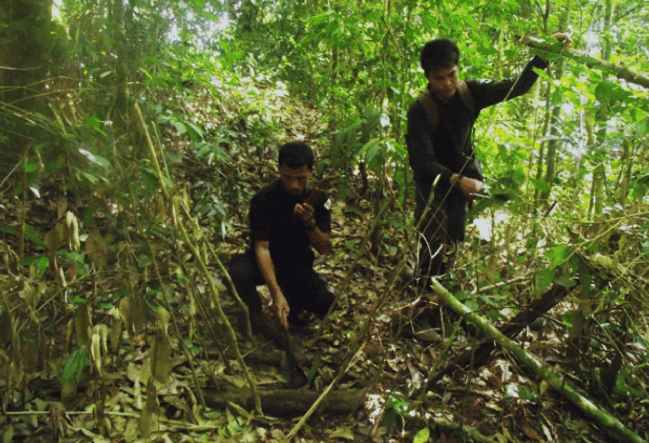 Perlindungan Proses Ekologis