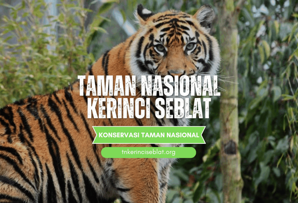 Perlindungan Satwa Langka dan Keanekaragaman Hayati