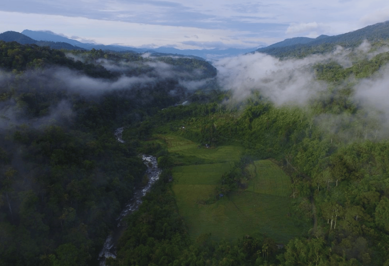 Perlindungan Spesies Kerinci Seblat