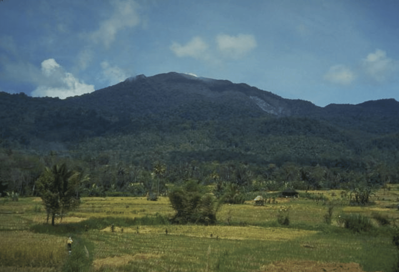 TAMAN NASIONAL BATANG GADIS