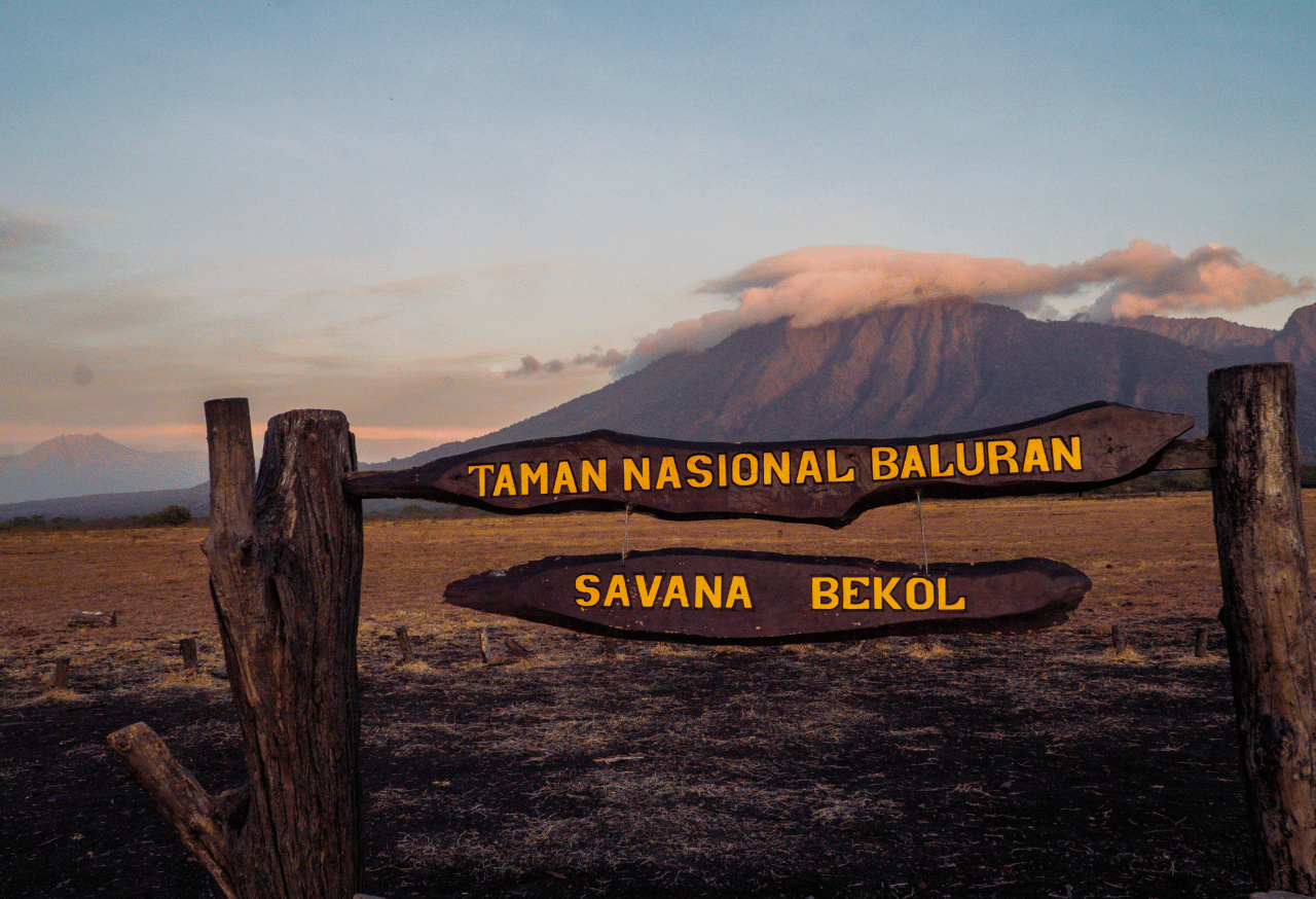 Taman Nasional Baluran